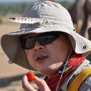 阿里歌歌 阿里歌歌