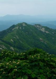 高村鎮[山東威海市文登區高村鎮]