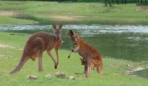 （圖）秦皇島市
