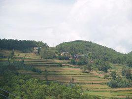 牛尖山村 牛尖山村