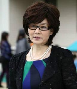 雙獨家庭的奢侈品[電視劇]