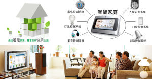 皇家智尊 皇家智尊