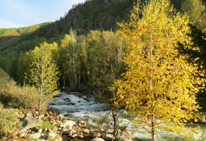 小東溝森林公園 小東溝森林公園