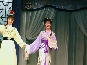 <<紅樓夢>>[1991年馬科執導黃梅戲]