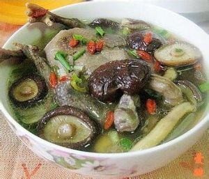 峨參香菇燉乳鴿 峨參香菇燉乳鴿