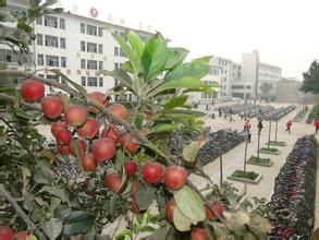 黃驊市第二中學