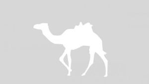 中科院生地所標本館