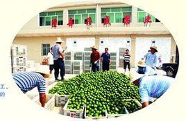 復興廠鎮 復興廠鎮