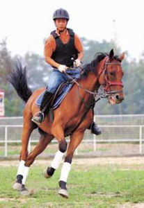 馴養人員 馴養人員