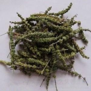 荊芥連翹湯 荊芥連翹湯