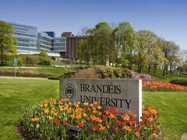 布蘭迪斯大學 布蘭迪斯大學