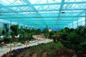 旅順蝴蝶園 旅順蝴蝶園