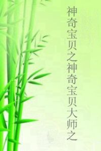 神奇寶貝之神奇寶貝大師之 神奇寶貝之神奇寶貝大師之