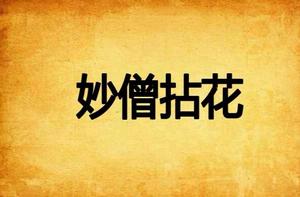 妙僧拈花 妙僧拈花