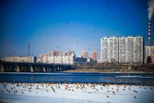 長白島[吉林長白島]