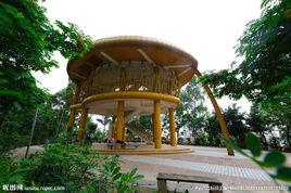 黃金山公園 黃金山公園