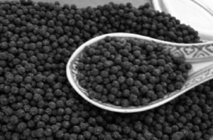 補骨脂丸 補骨脂丸