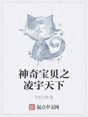 神奇寶貝之凌宇天下