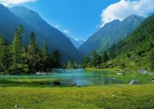 原始植被 原始植被