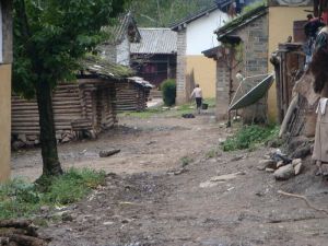 雞茨曲村 雞茨曲村