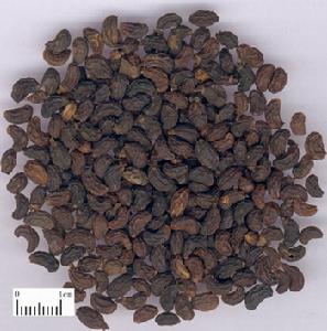 撤退性子宮出血