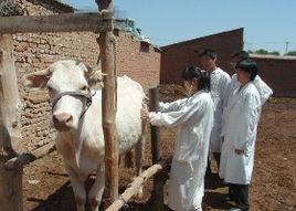 紹興市畜牧獸醫局 紹興市畜牧獸醫局