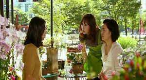 《愛情和戰爭》