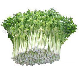 平度馬家溝大葉黃芹菜 平度馬家溝大葉黃芹菜