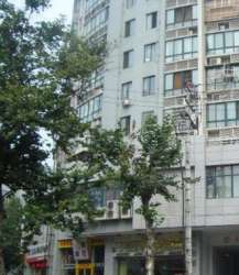 崇仁新都 崇仁新都