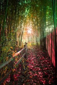 藝術文學 藝術文學