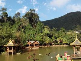 西雙版納森林公園 西雙版納森林公園