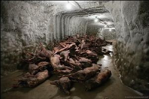 居民儲存馴鹿肉鹿茸的地下冰穴