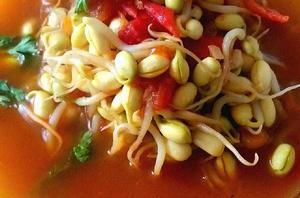 番茄豆芽湯 番茄豆芽湯