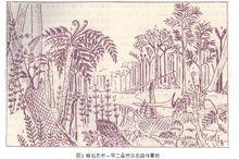 石炭二疊紀含煤地層