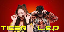 O.M.G組合 O.M.G組合