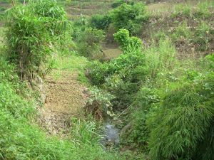 壩落自然村 壩落自然村