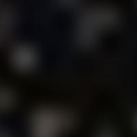 HR 8009 RASS 彩色圖