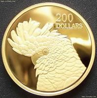 紅尾黑巴丹鸚鵡