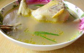 清燉紅棗鴿子湯 清燉紅棗鴿子湯