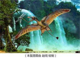 李氏鳳凰翼龍 李氏鳳凰翼龍