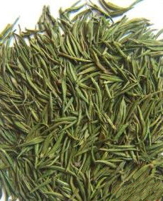 太白頂芽 太白頂芽