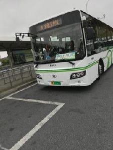 上海公交金張衛支線 上海公交金張衛支線