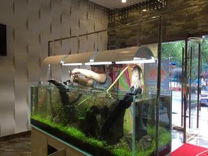 迪茨[浙江台州家居品牌]