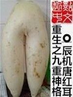 重生之九重神格 重生之九重神格