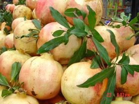 蒙自縣被授予“中國石榴之鄉”稱號