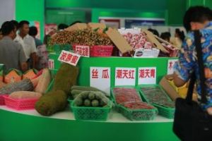 海南農博會 海南農博會