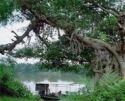 茅津古渡 茅津古渡