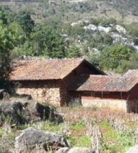 肖家地村 肖家地村