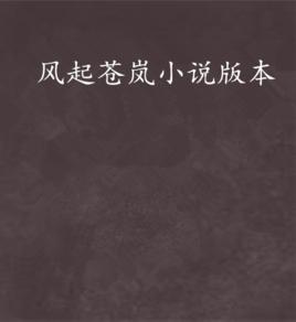風起蒼嵐小說版本 風起蒼嵐小說版本