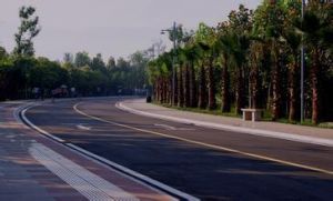 觀海路街道 觀海路街道